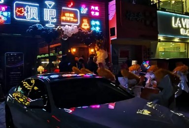清吧/酒馆，大照/集体照