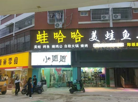 翔安马巷蛙哈哈美蛙鱼头转让，大照/集体照