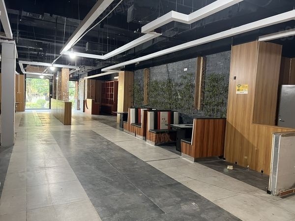 品牌公寓一楼，沿街旺铺，有租有送，大照/集体照_图3
