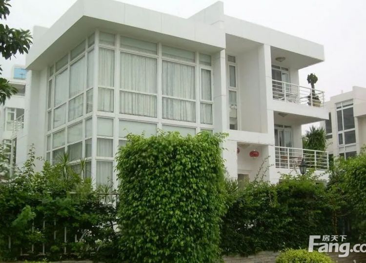 环岛路沿海独栋别墅，居家会所皆可，精装首出租，大照/集体照_图10