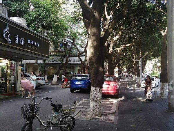 湖滨北路300平门宽15米以上好店出租，适合超市茶烟酒，大照/集体照_图10