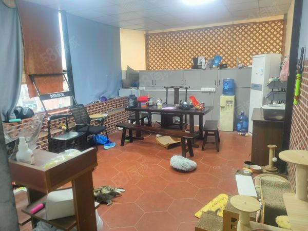 （转让）同安区大同街道环城北路篮球武术培训，大照/集体照_图5